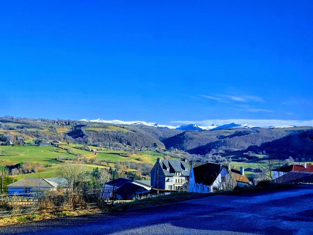 Gites Puy Mary Et Puy Griou Saint-Cernin  ภายนอก รูปภาพ
